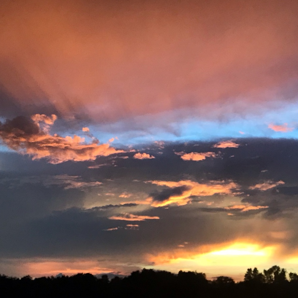 Meet your Posher, Karla